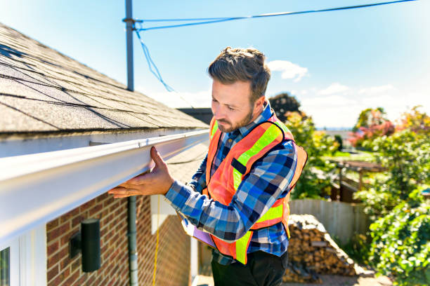 Best Roof Moss and Algae Removal  in Paradise, NV